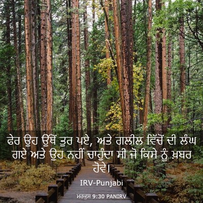 Picture 03 - ਮਰਕੁਸ 9:30 PANIRV - ਫੇਰ ਉਹ ਉੱਥੋਂ ਤੁਰ - Bible Verse Picture