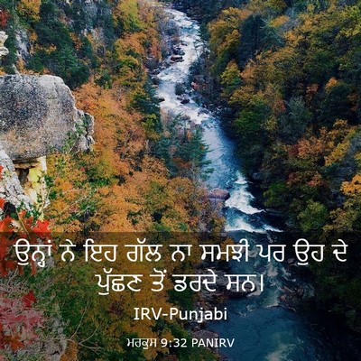 Picture 03 - ਮਰਕੁਸ 9:32 PANIRV - ਉਨ੍ਹਾਂ ਨੇ ਇਹ ਗੱਲ ਨਾ - Bible Verse Picture