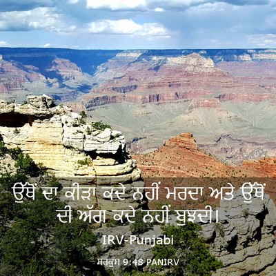 Picture 03 - ਮਰਕੁਸ 9:48 PANIRV - ਉੱਥੋਂ ਦਾ ਕੀੜਾ ਕਦੇ - Bible Verse Picture