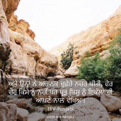 Picture 03 - ਮਰਕੁਸ 9:8 PANIRV - ਅਤੇ ਉਨ੍ਹਾਂ ਨੇ - Bible Verse Picture
