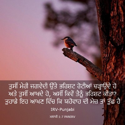 Picture 03 - ਮਲਾਕੀ 1:7 PANIRV - ਤੁਸੀਂ ਮੇਰੀ ਜਗਵੇਦੀ - Bible Verse Picture