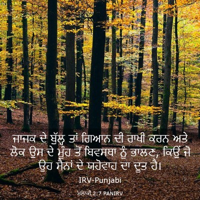 Picture 03 - ਮਲਾਕੀ 2:7 PANIRV - ਜਾਜਕ ਦੇ ਬੁੱਲ੍ਹ ਤਾਂ - Bible Verse Picture