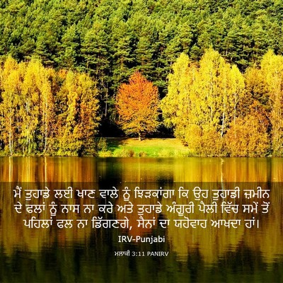 Picture 03 - ਮਲਾਕੀ 3:11 PANIRV - ਮੈਂ ਤੁਹਾਡੇ ਲਈ ਖਾਣ - Bible Verse Picture