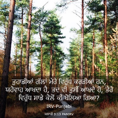 Picture 03 - ਮਲਾਕੀ 3:13 PANIRV - ਤੁਹਾਡੀਆਂ ਗੱਲਾਂ - Bible Verse Picture