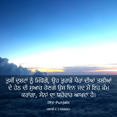 Picture 03 - ਮਲਾਕੀ 4:3 PANIRV - ਤੁਸੀਂ ਦੁਸ਼ਟਾਂ ਨੂੰ - Bible Verse Picture