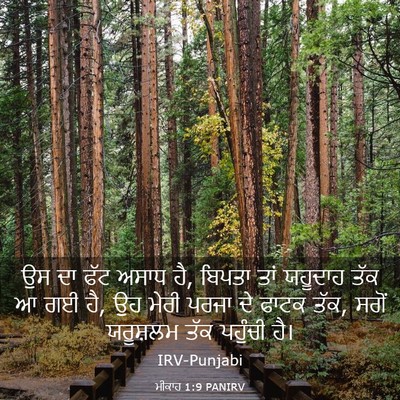 Picture 03 - ਮੀਕਾਹ 1:9 PANIRV - ਉਸ ਦਾ ਫੱਟ ਅਸਾਧ ਹੈ, - Bible Verse Picture