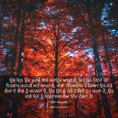 Picture 03 - ਮੀਕਾਹ 2:4 PANIRV - ਉਸ ਦਿਨ ਉਹ ਤੁਹਾਡੇ - Bible Verse Picture