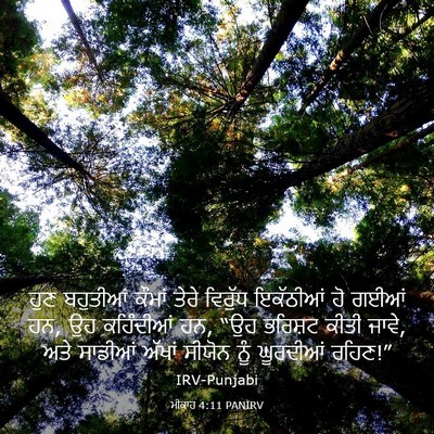 Picture 03 - ਮੀਕਾਹ 4:11 PANIRV - ਹੁਣ ਬਹੁਤੀਆਂ ਕੌਮਾਂ - Bible Verse Picture