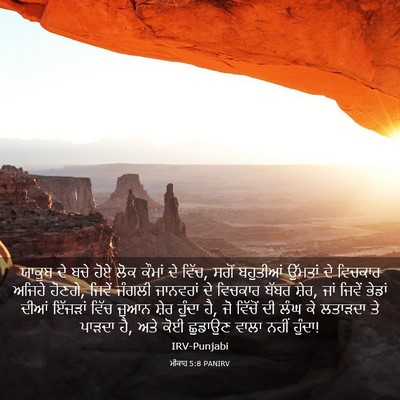 Picture 03 - ਮੀਕਾਹ 5:8 PANIRV - ਯਾਕੂਬ ਦੇ ਬਚੇ ਹੋਏ - Bible Verse Picture