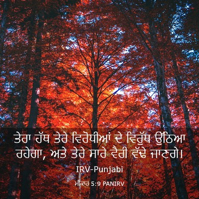 Picture 03 - ਮੀਕਾਹ 5:9 PANIRV - ਤੇਰਾ ਹੱਥ ਤੇਰੇ - Bible Verse Picture