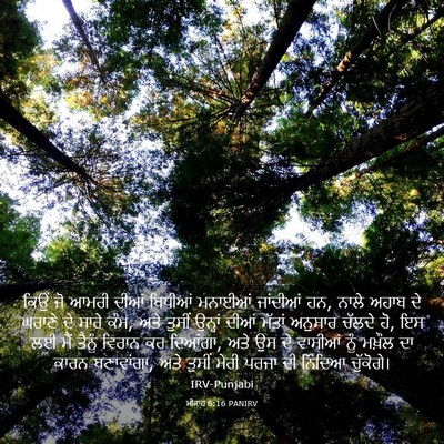 Picture 03 - ਮੀਕਾਹ 6:16 PANIRV - ਕਿਉਂ ਜੋ ਆਮਰੀ ਦੀਆਂ - Bible Verse Picture