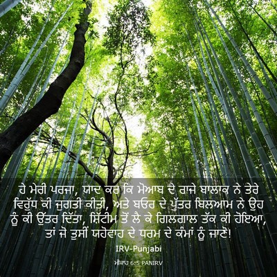 Picture 03 - ਮੀਕਾਹ 6:5 PANIRV - ਹੇ ਮੇਰੀ ਪਰਜਾ, ਯਾਦ - Bible Verse Picture