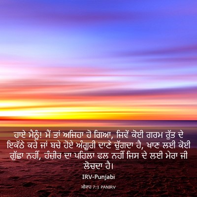 Picture 03 - ਮੀਕਾਹ 7:1 PANIRV - ਹਾਏ ਮੈਨੂੰ! ਮੈਂ ਤਾਂ - Bible Verse Picture