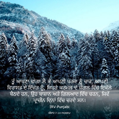 Picture 03 - ਮੀਕਾਹ 7:14 PANIRV - ਤੂੰ ਆਪਣਾ ਢਾਂਗਾ ਲੈ - Bible Verse Picture