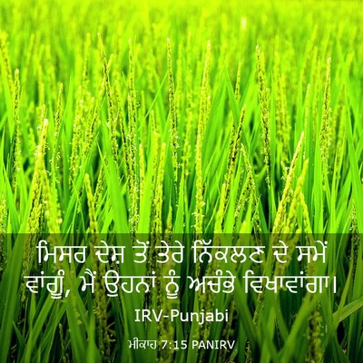 Picture 03 - ਮੀਕਾਹ 7:15 PANIRV - ਮਿਸਰ ਦੇਸ਼ ਤੋਂ ਤੇਰੇ - Bible Verse Picture