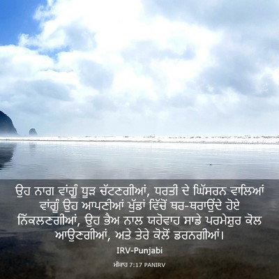 Picture 03 - ਮੀਕਾਹ 7:17 PANIRV - ਉਹ ਨਾਗ ਵਾਂਗੂੰ ਧੂੜ - Bible Verse Picture