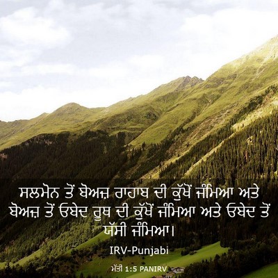 Picture 03 - ਮੱਤੀ 1:5 PANIRV - ਸਲਮੋਨ ਤੋਂ ਬੋਅਜ਼ - Bible Verse Picture