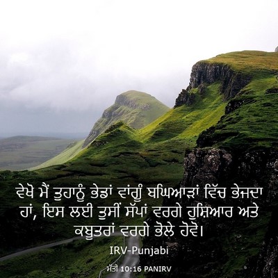 Picture 03 - ਮੱਤੀ 10:16 PANIRV - ਵੇਖੋ ਮੈਂ ਤੁਹਾਨੂੰ - Bible Verse Picture