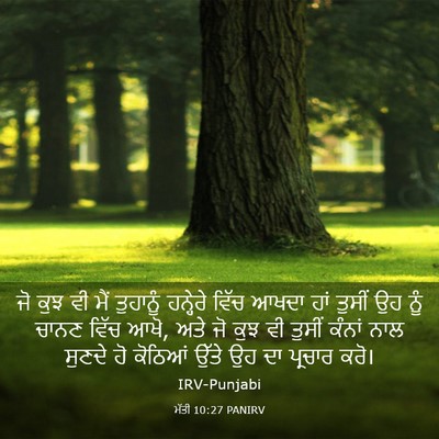 Picture 03 - ਮੱਤੀ 10:27 PANIRV - ਜੋ ਕੁਝ ਵੀ ਮੈਂ - Bible Verse Picture