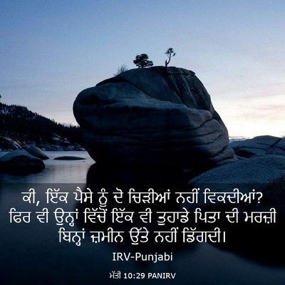 Picture 03 - ਮੱਤੀ 10:29 PANIRV - ਕੀ, ਇੱਕ ਪੈਸੇ ਨੂੰ ਦੋ - Bible Verse Picture