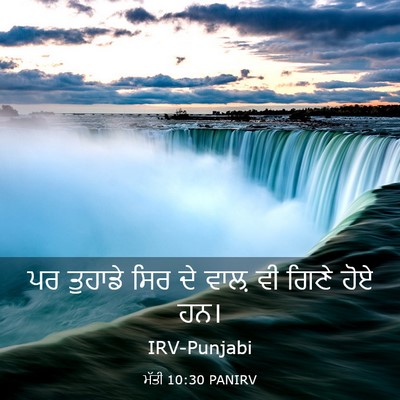 Picture 03 - ਮੱਤੀ 10:30 PANIRV - ਪਰ ਤੁਹਾਡੇ ਸਿਰ ਦੇ - Bible Verse Picture
