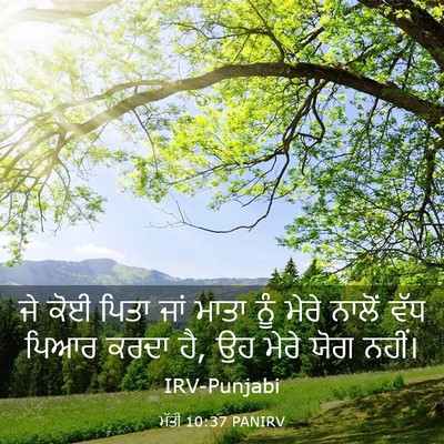 Picture 03 - ਮੱਤੀ 10:37 PANIRV - ਜੇ ਕੋਈ ਪਿਤਾ ਜਾਂ - Bible Verse Picture