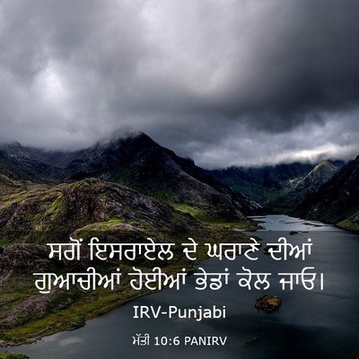 Picture 03 - ਮੱਤੀ 10:6 PANIRV - ਸਗੋਂ ਇਸਰਾਏਲ ਦੇ - Bible Verse Picture