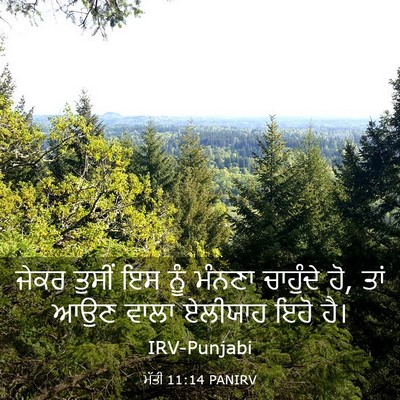 Picture 03 - ਮੱਤੀ 11:14 PANIRV - ਜੇਕਰ ਤੁਸੀਂ ਇਸ ਨੂੰ - Bible Verse Picture