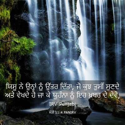Picture 03 - ਮੱਤੀ 11:4 PANIRV - ਯਿਸੂ ਨੇ ਉਨ੍ਹਾਂ ਨੂੰ - Bible Verse Picture