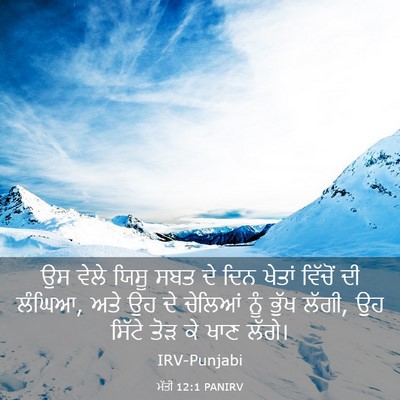 Picture 03 - ਮੱਤੀ 12:1 PANIRV - ਉਸ ਵੇਲੇ ਯਿਸੂ ਸਬਤ ਦੇ - Bible Verse Picture