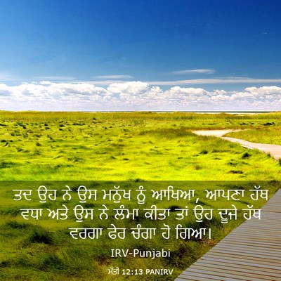 Picture 03 - ਮੱਤੀ 12:13 PANIRV - ਤਦ ਉਹ ਨੇ ਉਸ ਮਨੁੱਖ - Bible Verse Picture