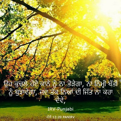 Picture 03 - ਮੱਤੀ 12:20 PANIRV - ਉਹ ਕੁਚਲੇ ਹੋਏ ਕਾਨੇ - Bible Verse Picture
