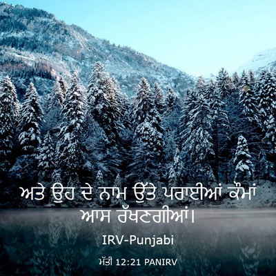 Picture 03 - ਮੱਤੀ 12:21 PANIRV - ਅਤੇ ਉਹ ਦੇ ਨਾਮ ਉੱਤੇ - Bible Verse Picture