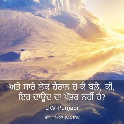 Picture 03 - ਮੱਤੀ 12:23 PANIRV - ਅਤੇ ਸਾਰੇ ਲੋਕ ਹੈਰਾਨ - Bible Verse Picture