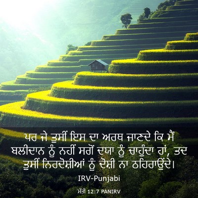 Picture 03 - ਮੱਤੀ 12:7 PANIRV - ਪਰ ਜੇ ਤੁਸੀਂ ਇਸ ਦਾ - Bible Verse Picture
