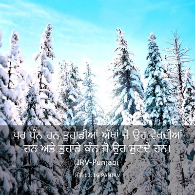Picture 03 - ਮੱਤੀ 13:16 PANIRV - ਪਰ ਧੰਨ ਹਨ ਤੁਹਾਡੀਆਂ - Bible Verse Picture