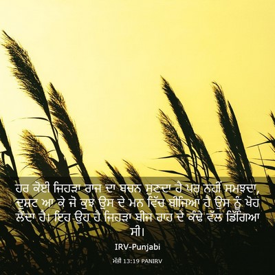 Picture 03 - ਮੱਤੀ 13:19 PANIRV - ਹਰ ਕੋਈ ਜਿਹੜਾ ਰਾਜ ਦਾ - Bible Verse Picture