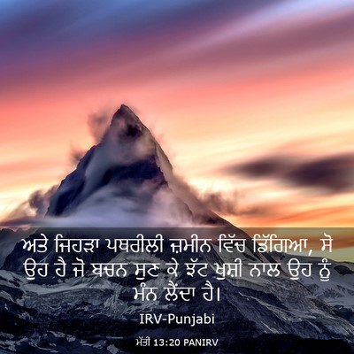 Picture 03 - ਮੱਤੀ 13:20 PANIRV - ਅਤੇ ਜਿਹੜਾ ਪਥਰੀਲੀ - Bible Verse Picture