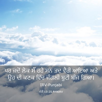 Picture 03 - ਮੱਤੀ 13:25 PANIRV - ਪਰ ਜਦੋਂ ਲੋਕ ਸੌਂ ਰਹੇ - Bible Verse Picture