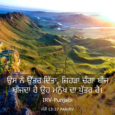 Picture 03 - ਮੱਤੀ 13:37 PANIRV - ਉਸ ਨੇ ਉੱਤਰ ਦਿੱਤਾ, - Bible Verse Picture