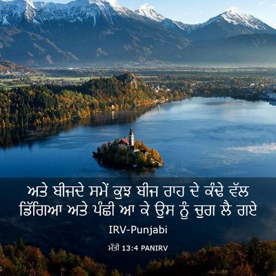 Picture 03 - ਮੱਤੀ 13:4 PANIRV - ਅਤੇ ਬੀਜਦੇ ਸਮੇਂ ਕੁਝ - Bible Verse Picture