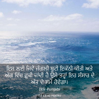 Picture 03 - ਮੱਤੀ 13:40 PANIRV - ਇਸ ਲਈ ਜਿਵੇਂ ਜੰਗਲੀ - Bible Verse Picture