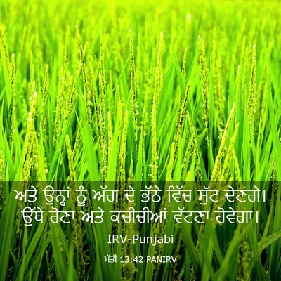 Picture 03 - ਮੱਤੀ 13:42 PANIRV - ਅਤੇ ਉਨ੍ਹਾਂ ਨੂੰ ਅੱਗ - Bible Verse Picture