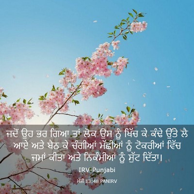 Picture 03 - ਮੱਤੀ 13:48 PANIRV - ਜਦੋਂ ਉਹ ਭਰ ਗਿਆ ਤਾਂ - Bible Verse Picture