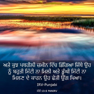 Picture 03 - ਮੱਤੀ 13:5 PANIRV - ਅਤੇ ਕੁਝ ਪਥਰੀਲੀ - Bible Verse Picture