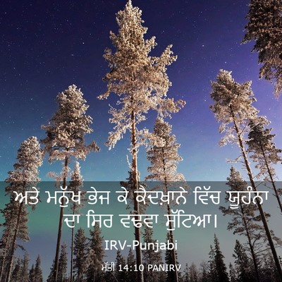 Picture 03 - ਮੱਤੀ 14:10 PANIRV - ਅਤੇ ਮਨੁੱਖ ਭੇਜ ਕੇ - Bible Verse Picture