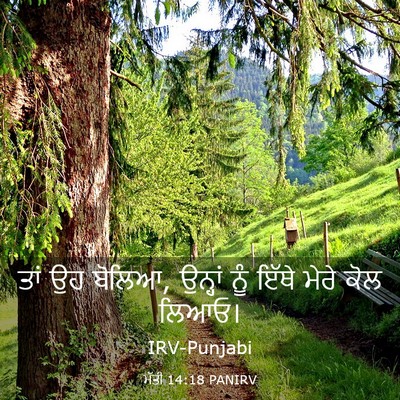 Picture 03 - ਮੱਤੀ 14:18 PANIRV - ਤਾਂ ਉਹ ਬੋਲਿਆ, - Bible Verse Picture