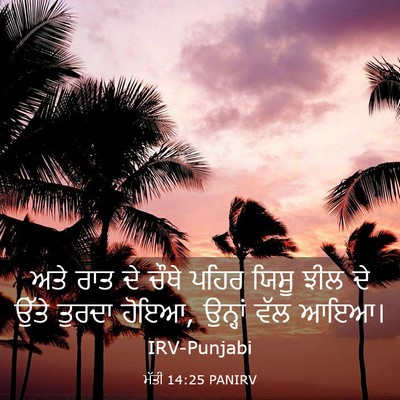 Picture 03 - ਮੱਤੀ 14:25 PANIRV - ਅਤੇ ਰਾਤ ਦੇ ਚੌਥੇ - Bible Verse Picture