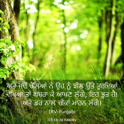 Picture 03 - ਮੱਤੀ 14:26 PANIRV - ਅਤੇ ਜਦੋਂ ਚੇਲਿਆਂ ਨੇ - Bible Verse Picture