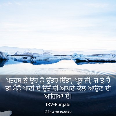 Picture 03 - ਮੱਤੀ 14:28 PANIRV - ਪਤਰਸ ਨੇ ਉਹ ਨੂੰ ਉੱਤਰ - Bible Verse Picture